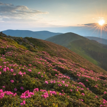 Parcul Natural Bucegi