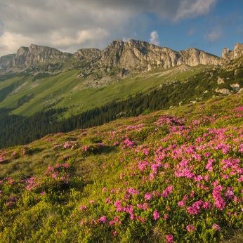 Parcul Natural Bucegi