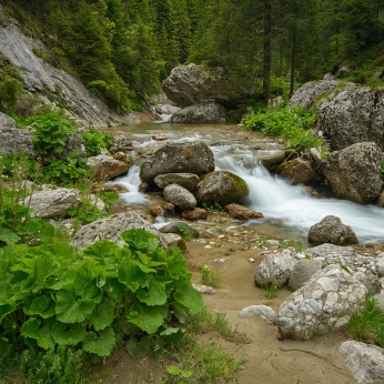 Parcul Natural Bucegi