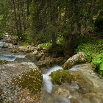 Parcul Natural Bucegi