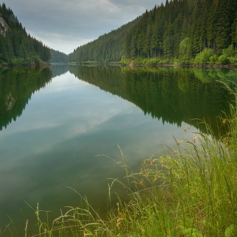 Parcul Natural Bucegi