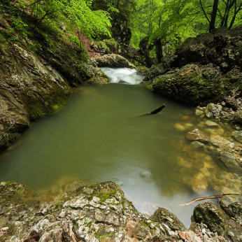 Parcul Natural Apuseni