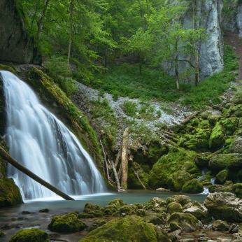 Parcul Natural Apuseni