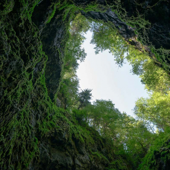 Parcul Natural Apuseni