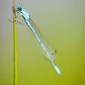 Parcul Natural Apuseni