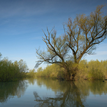 Parcul natural Balta Mică a Brăilei