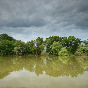 Parcul natural Balta Mică a Brăilei