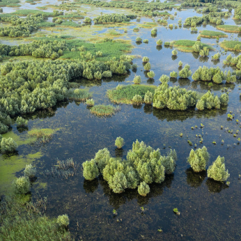 Parcul natural Balta Mică a Brăilei