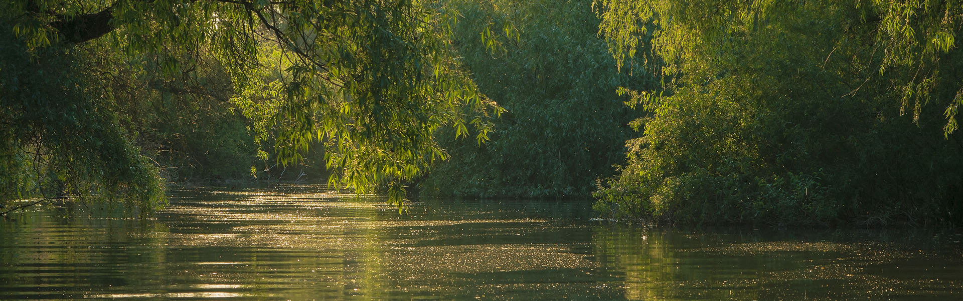 Delta Dunării - banner