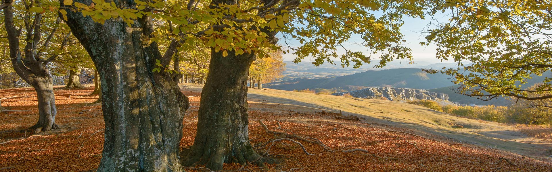 Domogled - Valea Cernei - banner