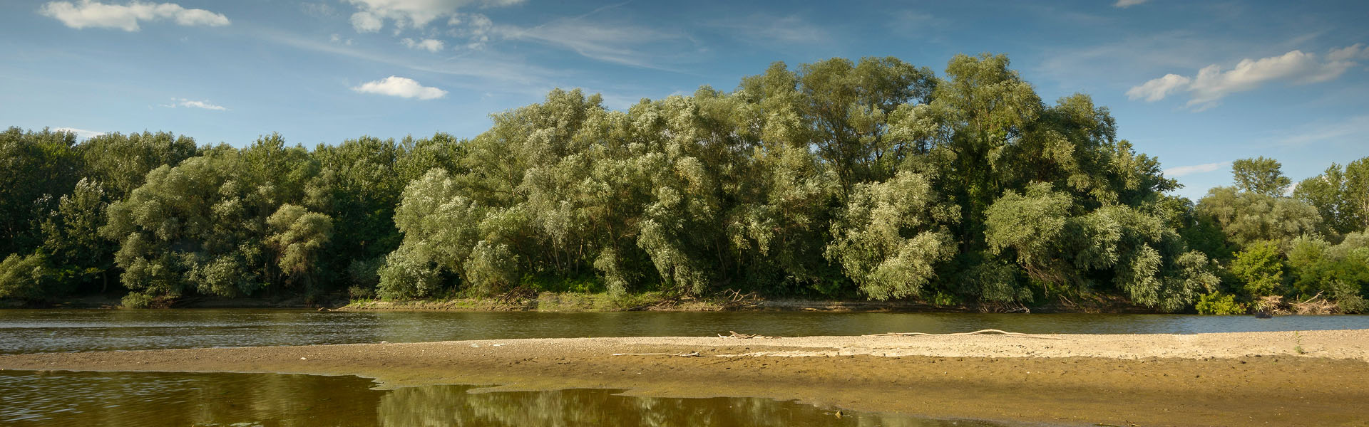 Lunca Mureșului - banner