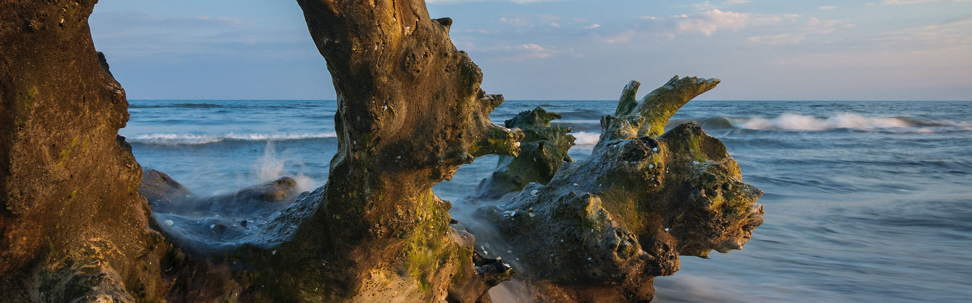 Marea Neagră - banner