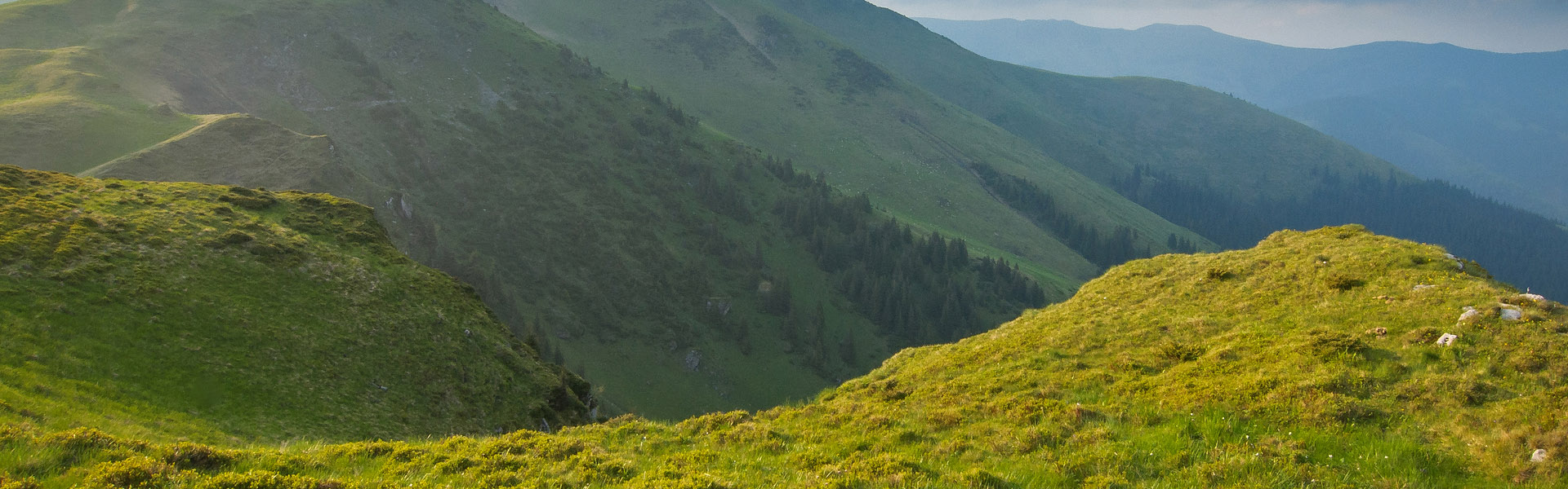 Munții Maramureșului - banner