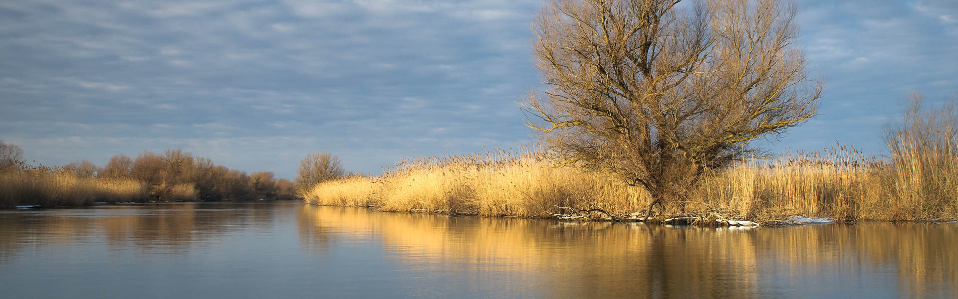 Delta Dunării - banner