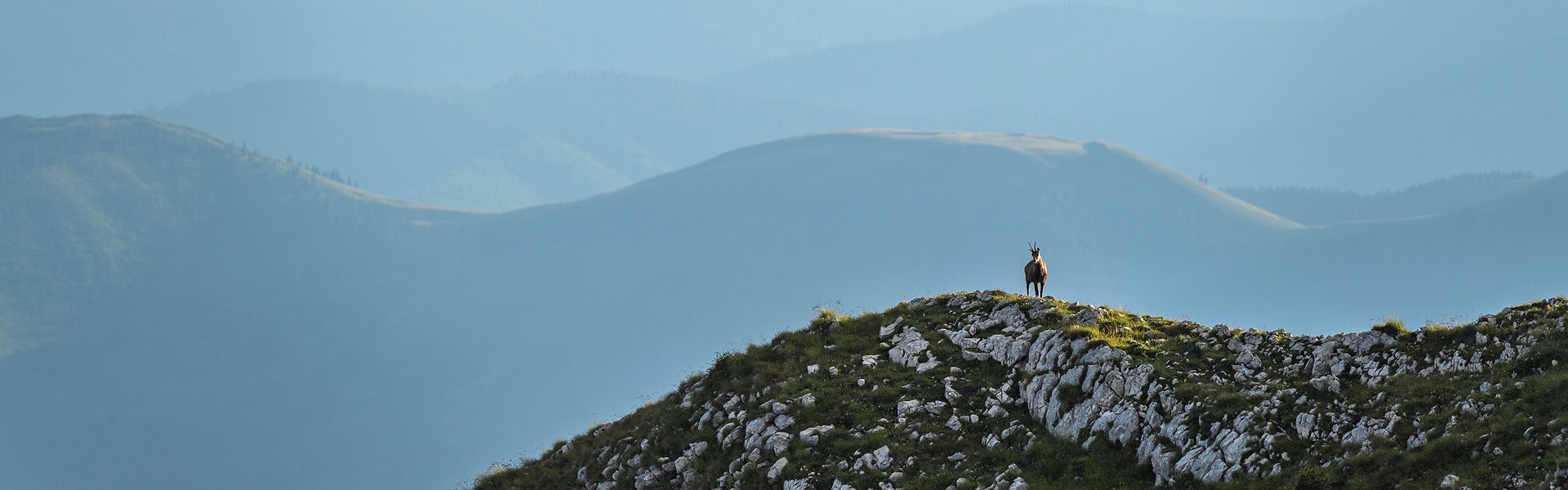 Piatra Craiului - banner