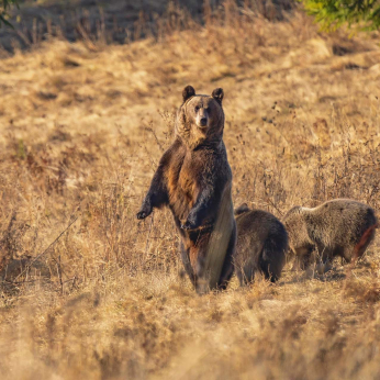 Parcul Național Cheile Bicazului - Hășmaș