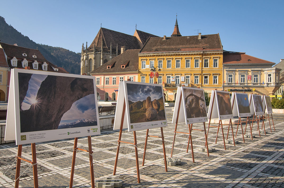 Proiect expoziție